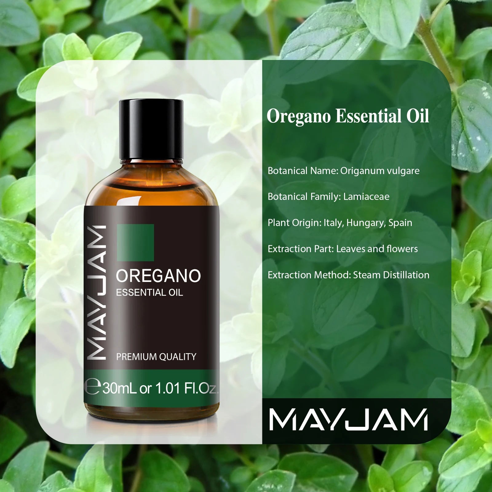 Essential Ritual Oils Collection